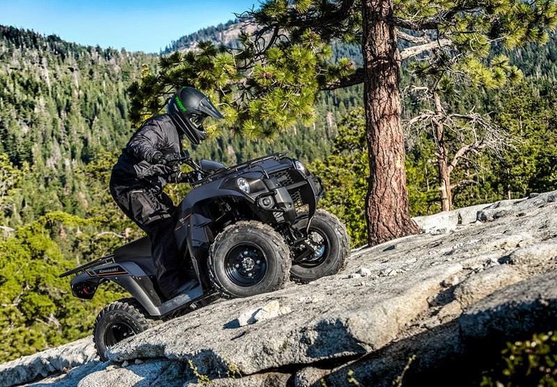 Riders on the trail